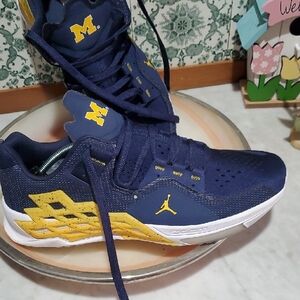 Air Jordan Michigan State Men's Basketball Shoes, Size 12.5